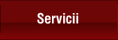 Servicii